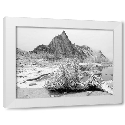 Alpine Lakes Wilderness-Enchantment Lakes-snow covered larch trees-with Prusik Peak White Modern Wood Framed Art Print by Wild, Jamie and Judy