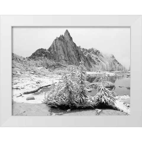 Alpine Lakes Wilderness-Enchantment Lakes-snow covered larch trees-with Prusik Peak White Modern Wood Framed Art Print by Wild, Jamie and Judy