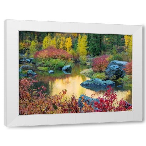 WA-Tumwater Canyon-Autumn reflection White Modern Wood Framed Art Print by Wild, Jamie and Judy