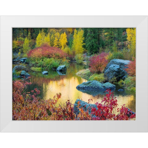 WA-Tumwater Canyon-Autumn reflection White Modern Wood Framed Art Print by Wild, Jamie and Judy
