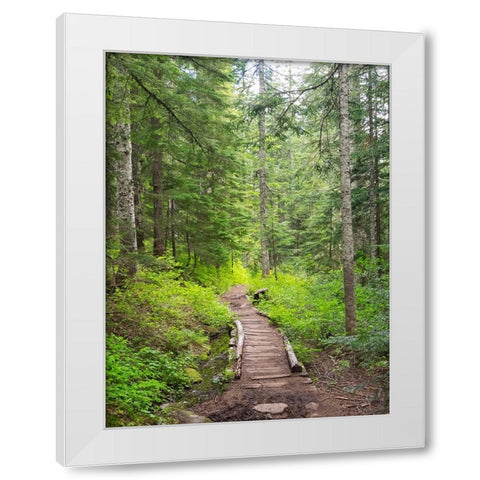 Washington State-Central Cascades-Trail to Pratt Ridge White Modern Wood Framed Art Print by Wild, Jamie and Judy
