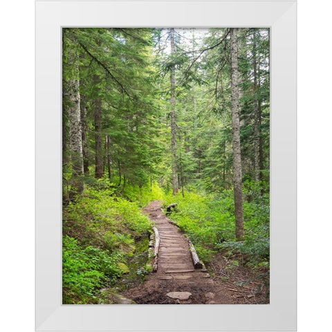 Washington State-Central Cascades-Trail to Pratt Ridge White Modern Wood Framed Art Print by Wild, Jamie and Judy