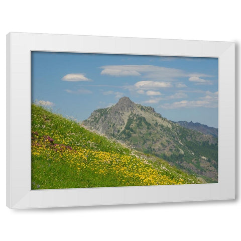 Washington State-Central Cascades-Rampart Ridge-Alta Mountain and wildflowers White Modern Wood Framed Art Print by Wild, Jamie and Judy