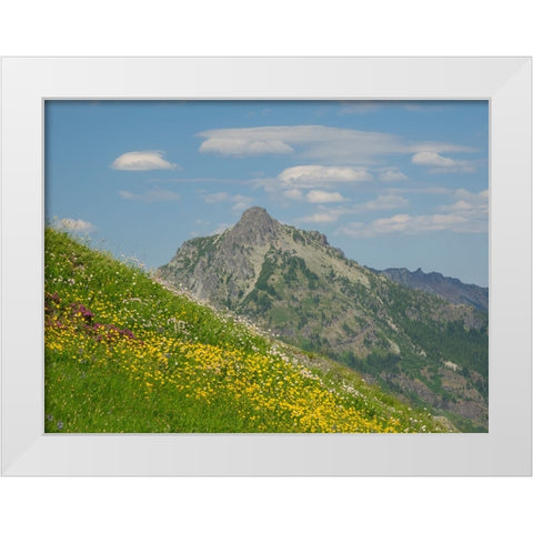 Washington State-Central Cascades-Rampart Ridge-Alta Mountain and wildflowers White Modern Wood Framed Art Print by Wild, Jamie and Judy