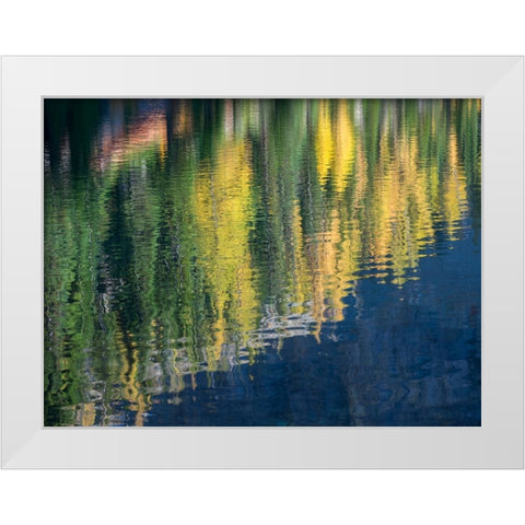 Washington State-North Cascades-Blue Lake-Larch tree reflections White Modern Wood Framed Art Print by Wild, Jamie and Judy