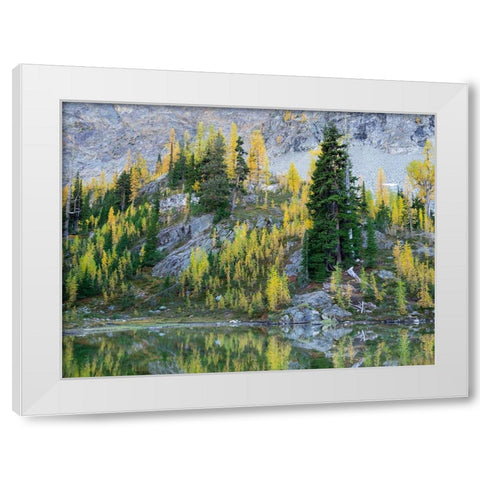 Washington State-North Cascades-Alpine Pond with Larch and Fir trees White Modern Wood Framed Art Print by Wild, Jamie and Judy