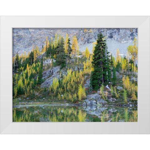 Washington State-North Cascades-Alpine Pond with Larch and Fir trees White Modern Wood Framed Art Print by Wild, Jamie and Judy