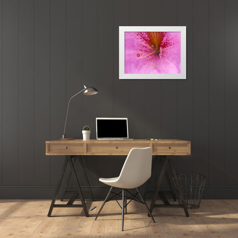 Washington State-Rhododendron Flower White Modern Wood Framed Art Print by Wild, Jamie and Judy