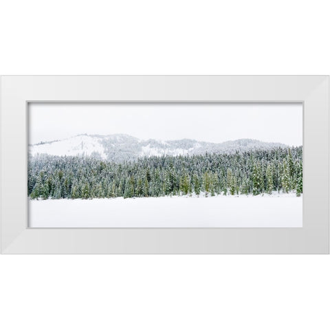 Washington State-Central Cascades Winter at frozen Olallie Lake White Modern Wood Framed Art Print by Wild, Jamie and Judy