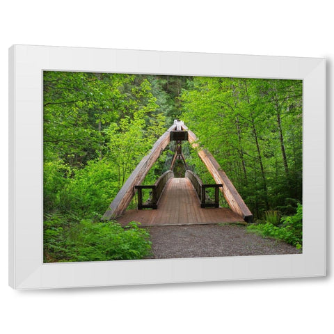 Washington State-Central Cascades Footbridge-over Middle Fork Snoqualmie River White Modern Wood Framed Art Print by Wild, Jamie and Judy