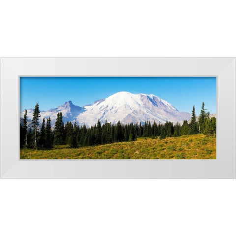 Washington State-Mount Rainier National Park Mount Rainier White Modern Wood Framed Art Print by Wild, Jamie and Judy