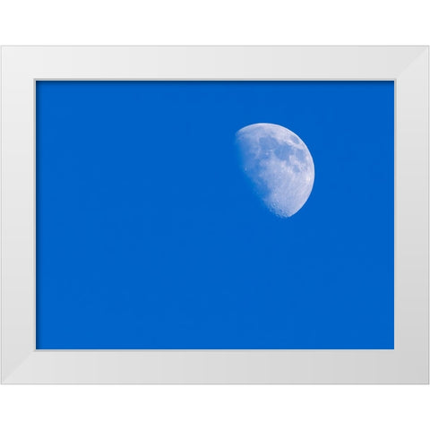 Washington State- first Quarter Moon White Modern Wood Framed Art Print by Wild, Jamie and Judy