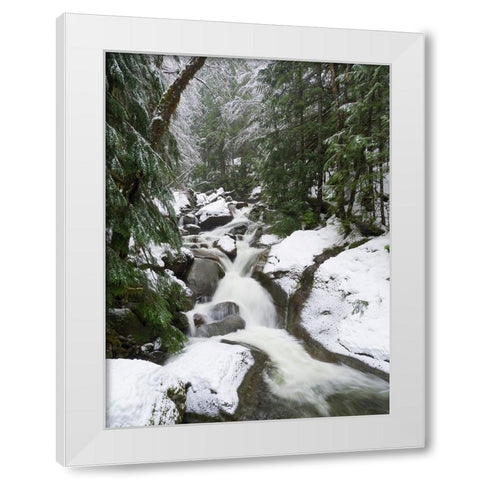 Washington State- Central Cascades. Martin Creek White Modern Wood Framed Art Print by Wild, Jamie and Judy