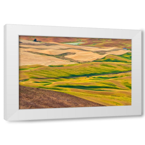 Landscape of rolling wheat field-Palouse-Washington State-USA White Modern Wood Framed Art Print by Su, Keren