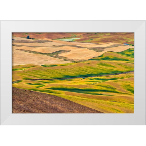 Landscape of rolling wheat field-Palouse-Washington State-USA White Modern Wood Framed Art Print by Su, Keren