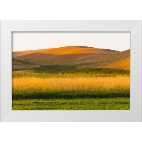 Sunset view of wheat field-Palouse-Washington State-USA White Modern Wood Framed Art Print by Su, Keren