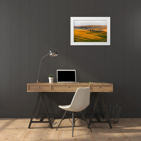 Landscape of rolling wheat field at sunrise-Palouse-Washington State-USA White Modern Wood Framed Art Print by Su, Keren