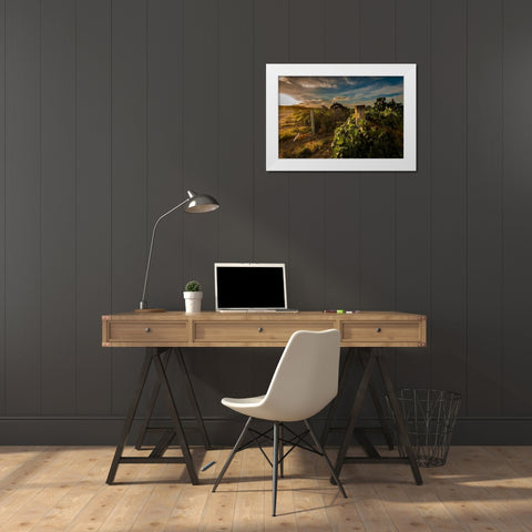Morning light on rows of merlot White Modern Wood Framed Art Print by Duval, Richard