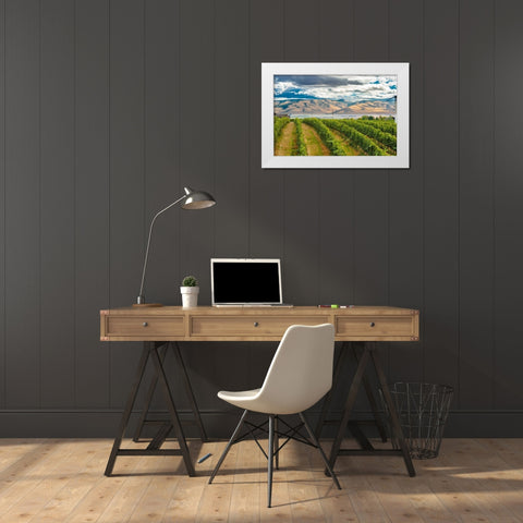 Washington State-Walla Walla Pepper Bridge Vineyard with Blue Mountains in the background White Modern Wood Framed Art Print by Duval, Richard