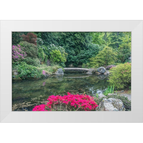 Washington State-Seattle Kubota Garden White Modern Wood Framed Art Print by Tilley, Rob