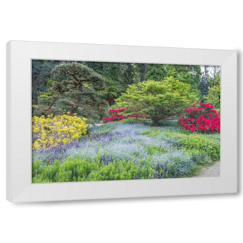Washington State-Seattle Kubota Garden White Modern Wood Framed Art Print by Tilley, Rob