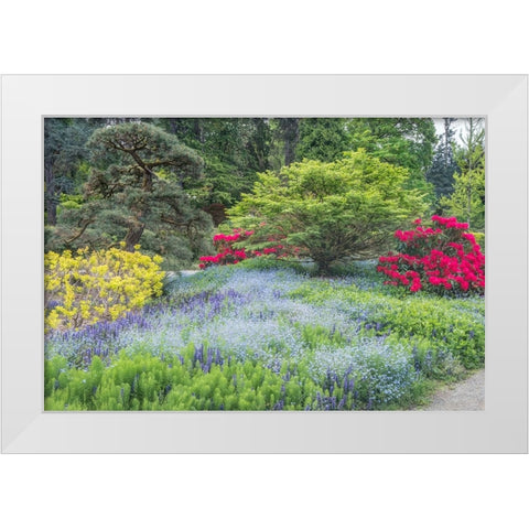 Washington State-Seattle Kubota Garden White Modern Wood Framed Art Print by Tilley, Rob