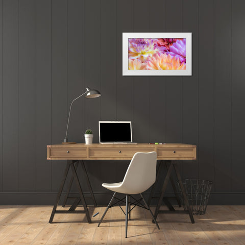 Washington State-Sammamish Dahlia flower design and patterns White Modern Wood Framed Art Print by Gulin, Sylvia