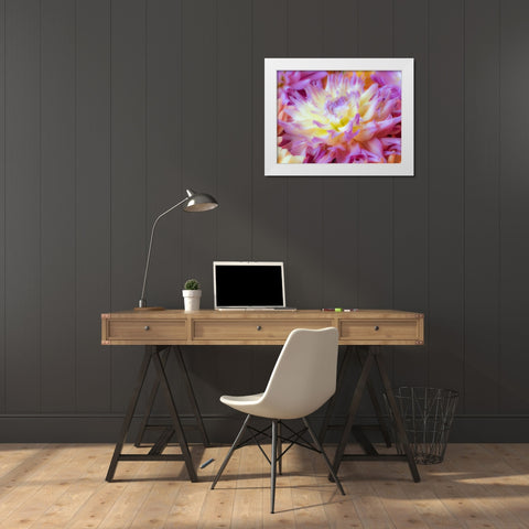 Washington State-Sammamish Dahlia flower design and patterns White Modern Wood Framed Art Print by Gulin, Sylvia