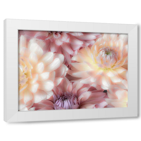 Washington State-Sammamish Dahlia flower design and patterns White Modern Wood Framed Art Print by Gulin, Sylvia