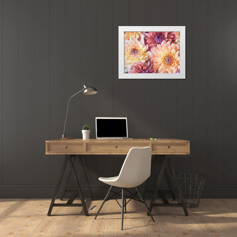 Washington State-Sammamish Dahlia flower design and patterns White Modern Wood Framed Art Print by Gulin, Sylvia