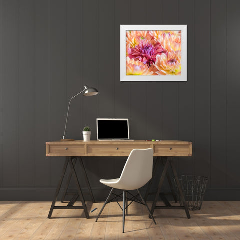 Washington State-Sammamish Dahlia flower design and patterns White Modern Wood Framed Art Print by Gulin, Sylvia