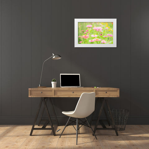 Washington State-Oakville-Pacific Northwest zinnia flower White Modern Wood Framed Art Print by Gulin, Sylvia
