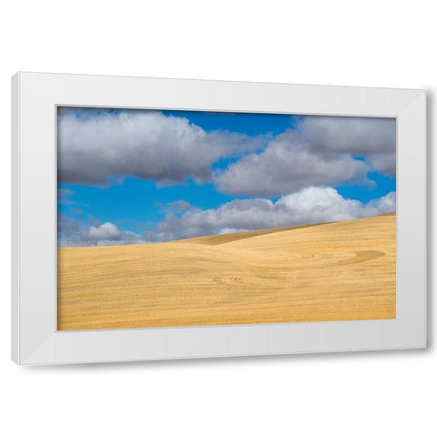 Washington State-Eastern Washington-Palouse White Modern Wood Framed Art Print by Gulin, Sylvia