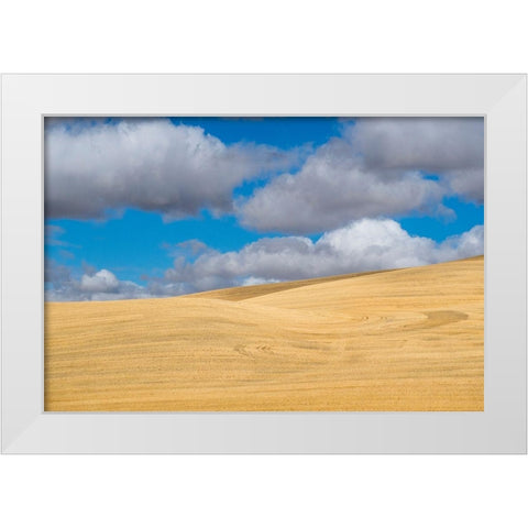 Washington State-Eastern Washington-Palouse White Modern Wood Framed Art Print by Gulin, Sylvia