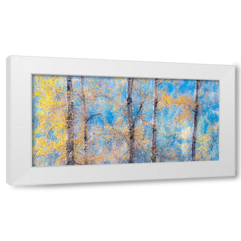 Washington State-Preston with Cottonwood trees springtime leafing out White Modern Wood Framed Art Print by Gulin, Sylvia