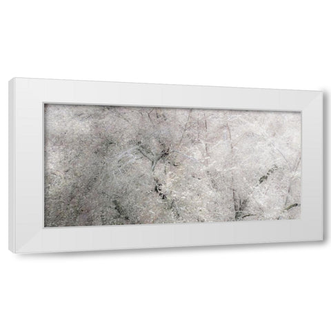 USA-Washington State-Fall City wild cherry springtime blooming White Modern Wood Framed Art Print by Gulin, Sylvia