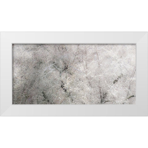 USA-Washington State-Fall City wild cherry springtime blooming White Modern Wood Framed Art Print by Gulin, Sylvia