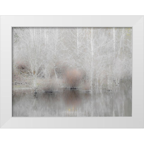 USA-Washington State-Sammamish springtime and alder trees and their reflections in small pond White Modern Wood Framed Art Print by Gulin, Sylvia