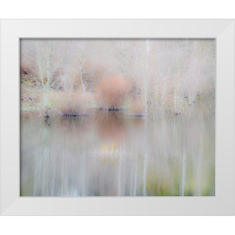 USA-Washington State-Sammamish springtime and alder trees and their reflections in small pond White Modern Wood Framed Art Print by Gulin, Sylvia