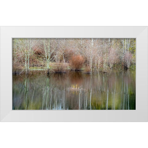 USA-Washington State-Sammamish springtime and alder trees and their reflections in small pond White Modern Wood Framed Art Print by Gulin, Sylvia