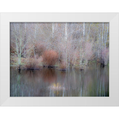 USA-Washington State-Sammamish springtime and alder trees and their reflections in small pond White Modern Wood Framed Art Print by Gulin, Sylvia