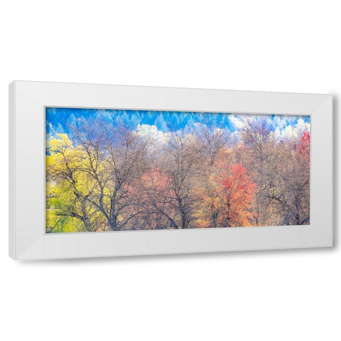 USA-Washington State-Fall City-Pacific Northwest early spring cottonwood White Modern Wood Framed Art Print by Gulin, Sylvia