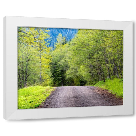 USA-Washington State-Old Cascade Highway off of Highway 2 White Modern Wood Framed Art Print by Gulin, Sylvia
