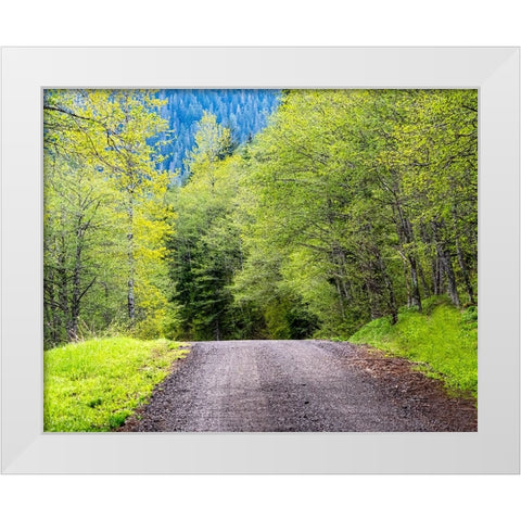 USA-Washington State-Old Cascade Highway off of Highway 2 White Modern Wood Framed Art Print by Gulin, Sylvia