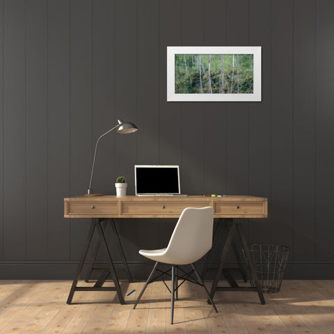 USA-Washington State-Old Cascade Highway off of Highway 2 and pond reflecting alder trees White Modern Wood Framed Art Print by Gulin, Sylvia