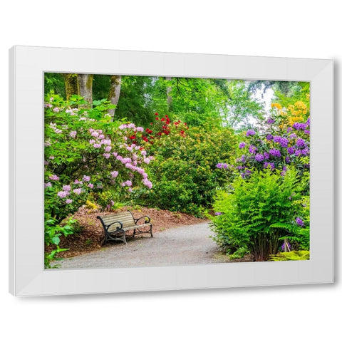 USA-Washington State-Pacific Northwest-Bellevue and the Bellevue Botanical Gardens White Modern Wood Framed Art Print by Gulin, Sylvia