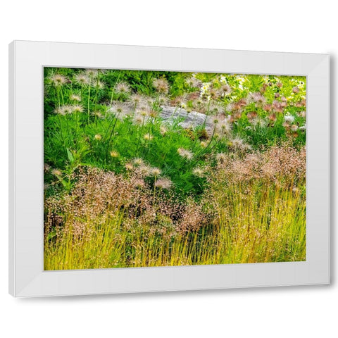 USA-Washington State-Pacific Northwest-Bellevue and the Bellevue Botanical Gardens springtime White Modern Wood Framed Art Print by Gulin, Sylvia