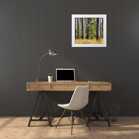 USA-Washington State-Othello grove of trees along Highway 26 White Modern Wood Framed Art Print by Gulin, Sylvia