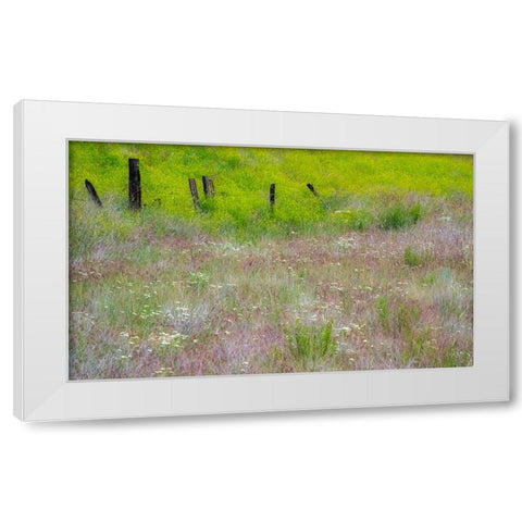 USA-Washington State-Benge Wooden post fence and grasses on rolling hills White Modern Wood Framed Art Print by Gulin, Sylvia