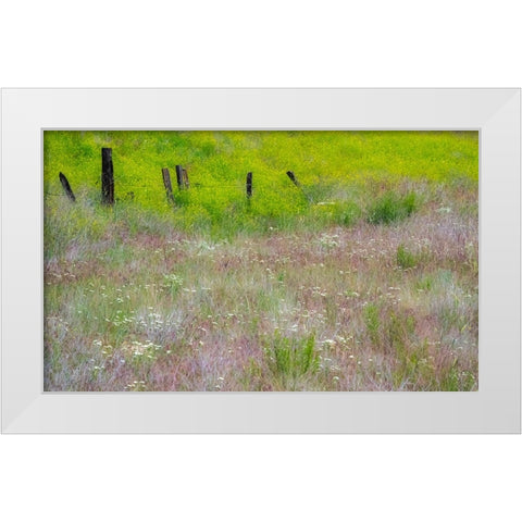 USA-Washington State-Benge Wooden post fence and grasses on rolling hills White Modern Wood Framed Art Print by Gulin, Sylvia